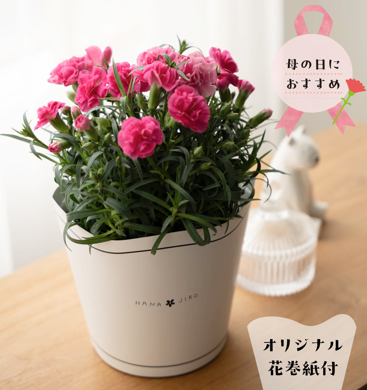 母の日のアレンジメント カーネーション ピンク（5寸）