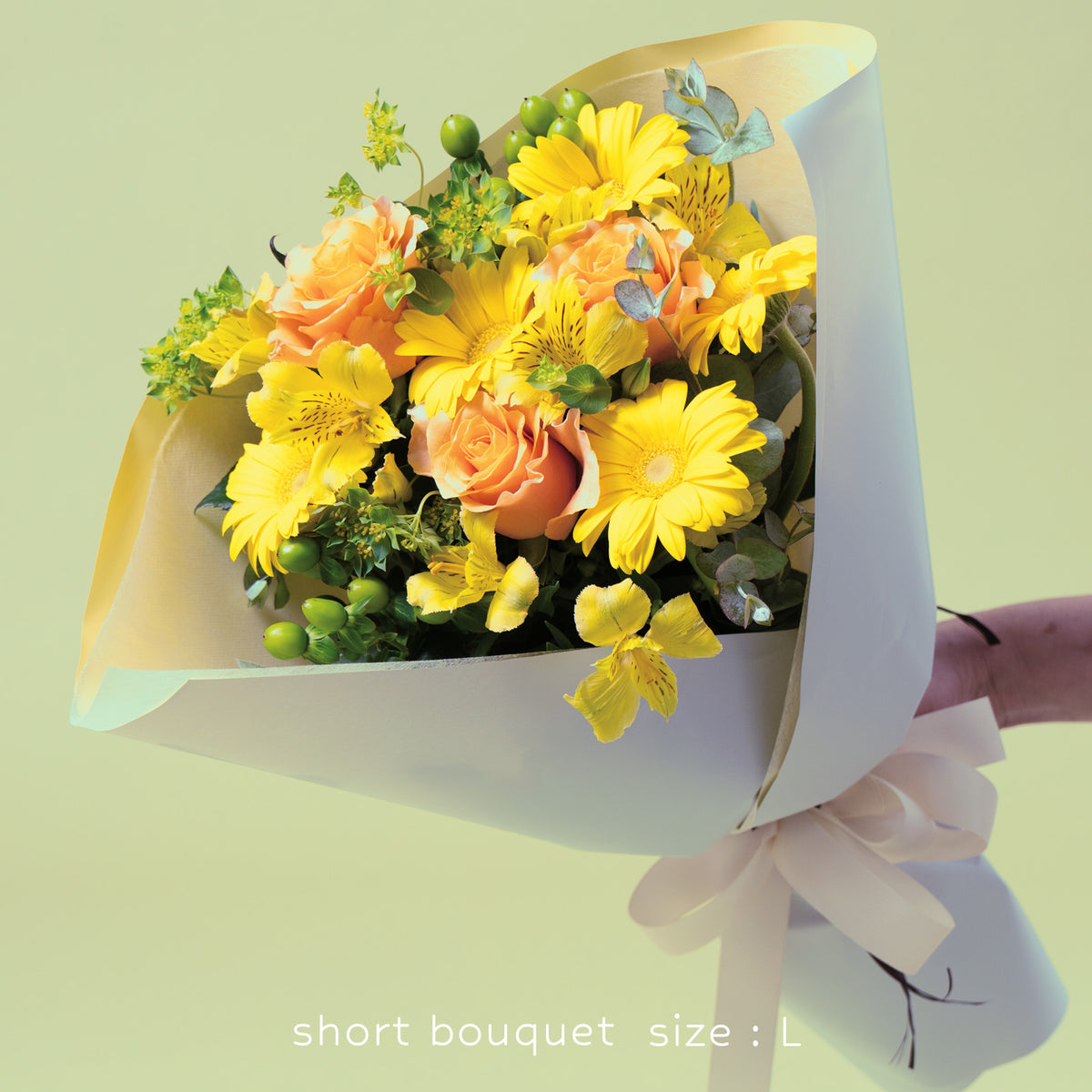 bq-g0036-l-