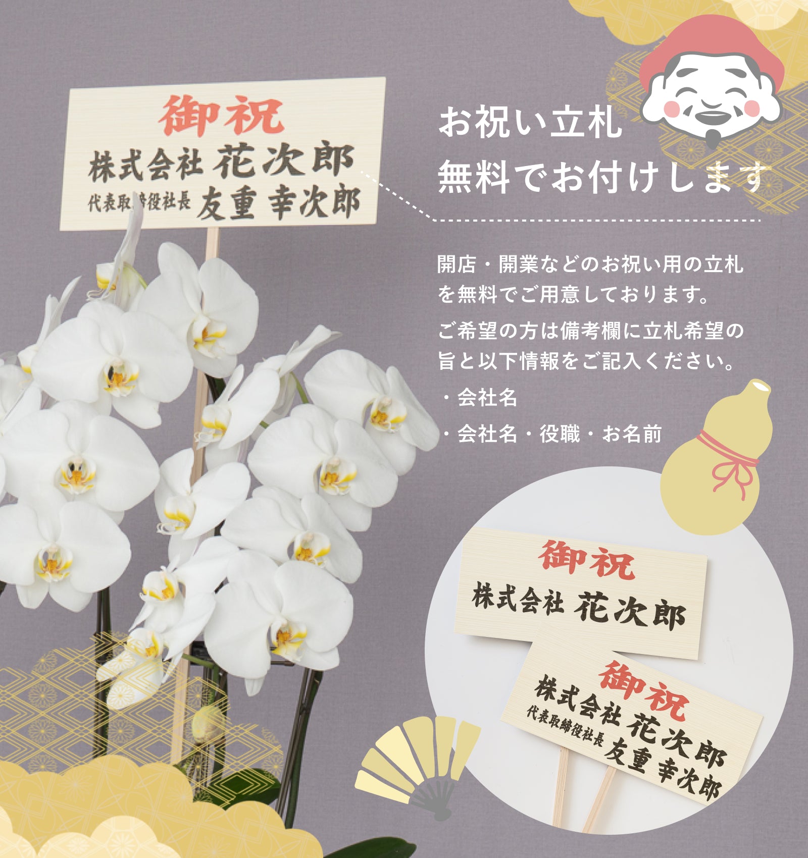 えびす胡蝶蘭3本立