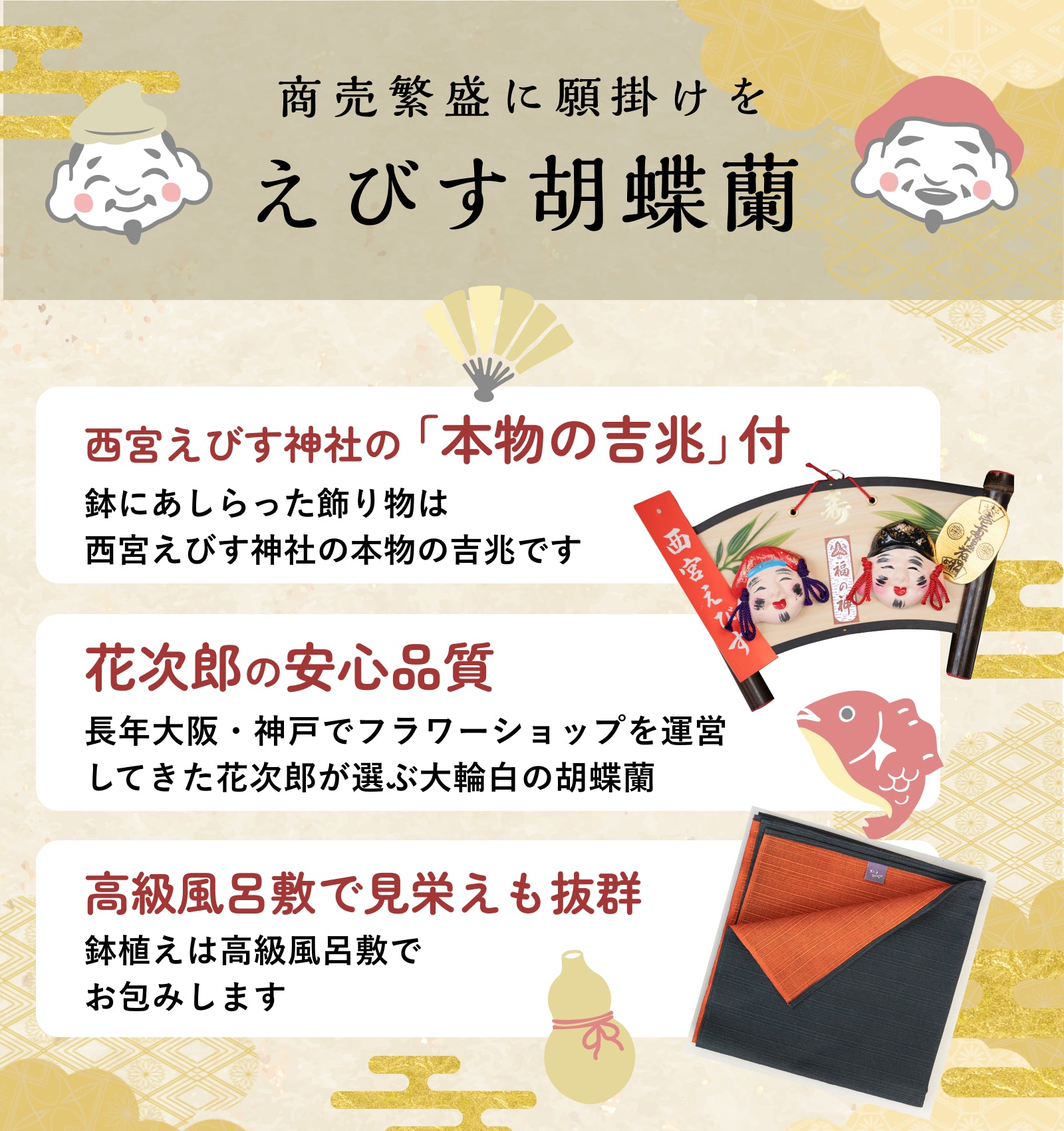 えびす胡蝶蘭5本立