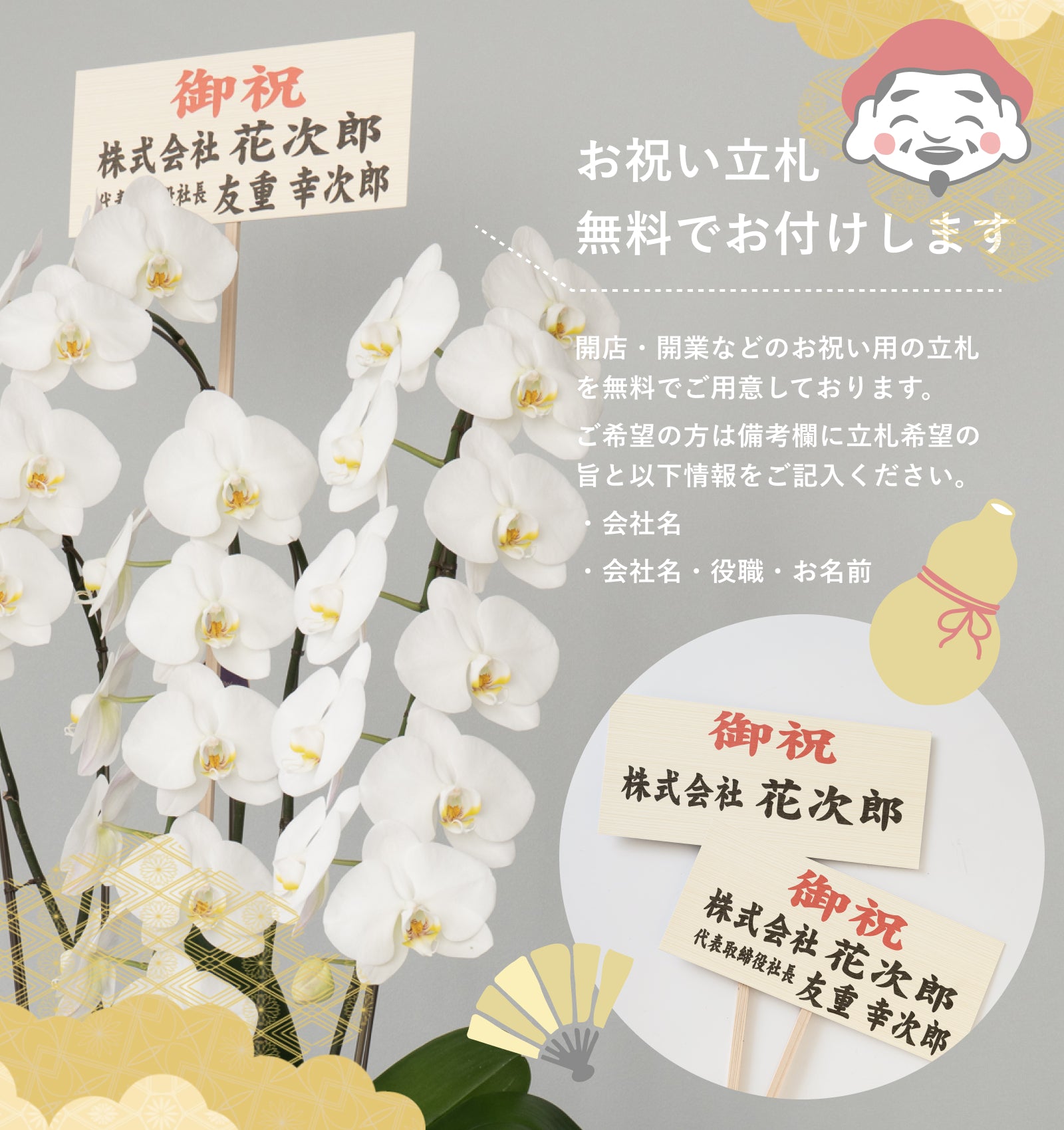 えびす胡蝶蘭5本立