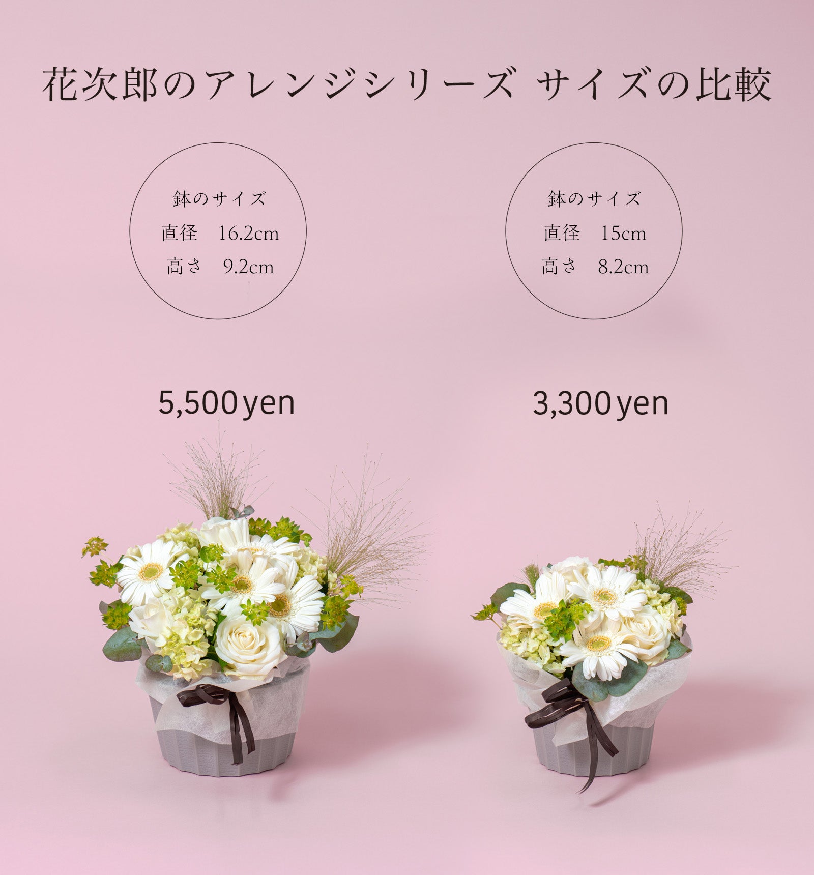 ビタミンカラーのお花　アレンジメント size:S