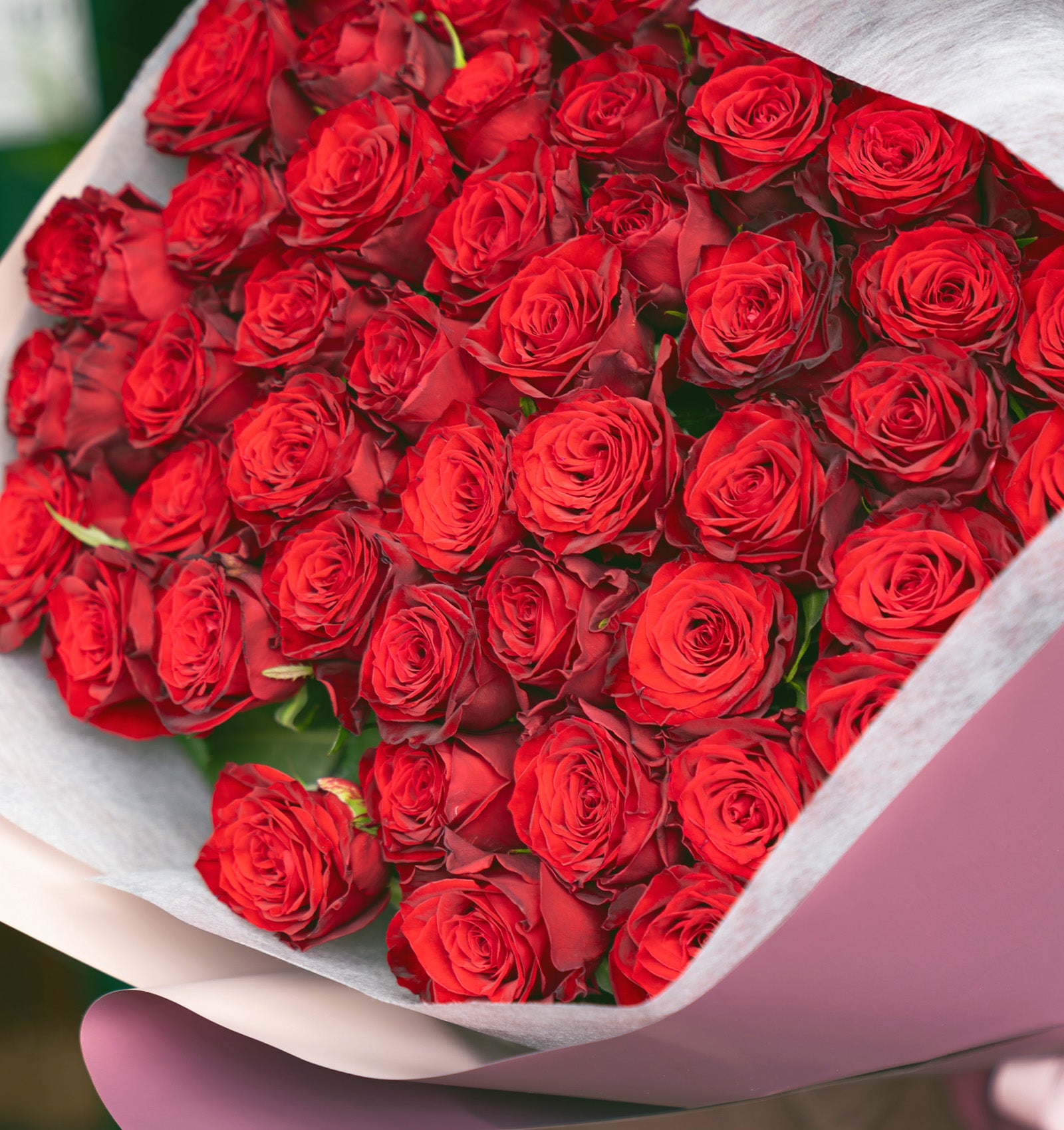 プロポーズブーケ 赤バラ 50本